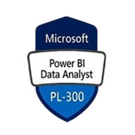 pl300dp900-bs